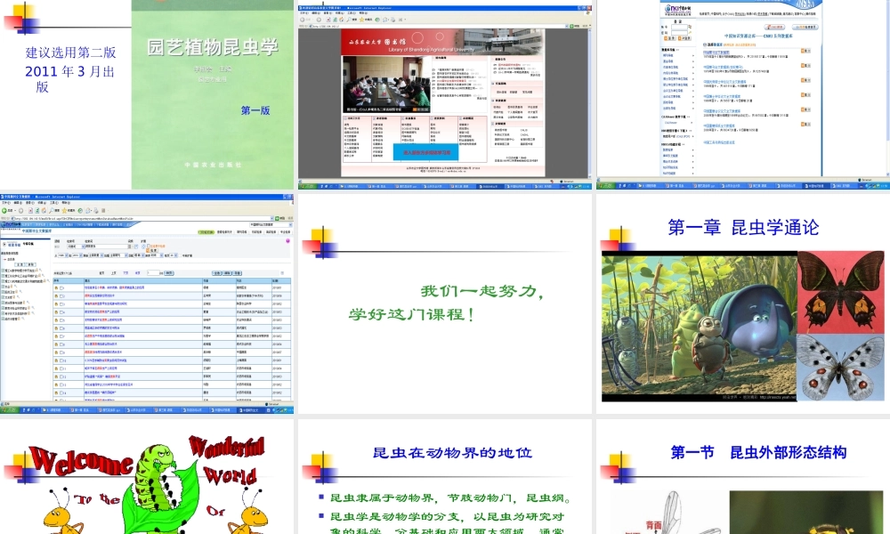 园艺昆虫学（昆虫学通论）-2014.8.ppt