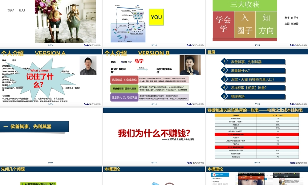 1马宁《大流量》.pptx