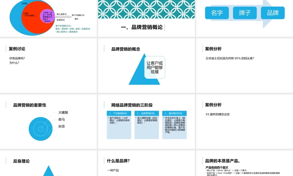 品牌战略与品牌创新（讲义）.pptx