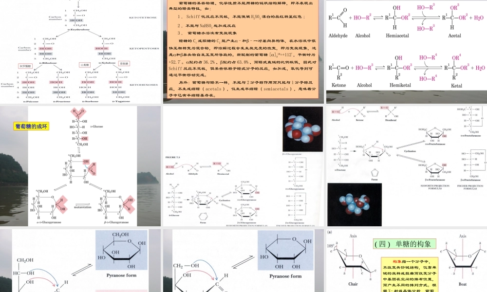 1糖的生物化学1.ppt