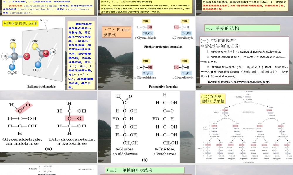 1糖的生物化学1.ppt