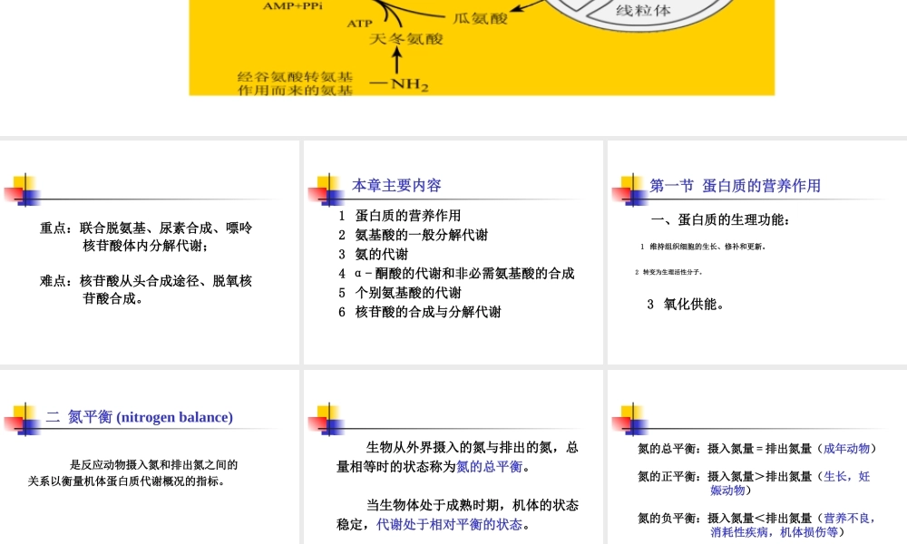 考研科目,动物生物化学 第11章 含氮小分子.ppt