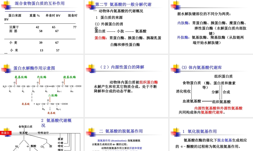 考研科目,动物生物化学 第11章 含氮小分子.ppt