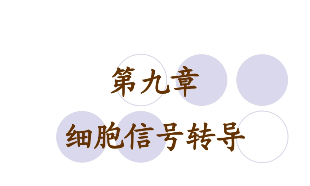 第九章 细胞信号转导 YJ.ppt