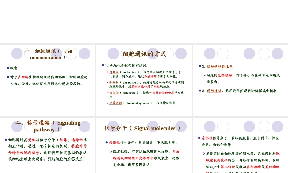 第九章 细胞信号转导 YJ.ppt