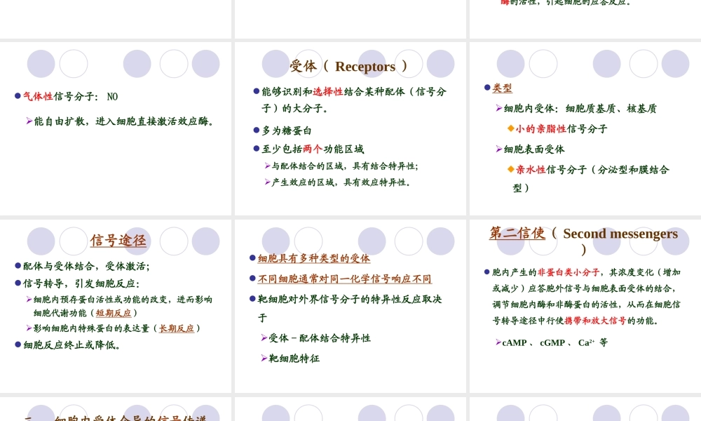 第九章 细胞信号转导 YJ.ppt