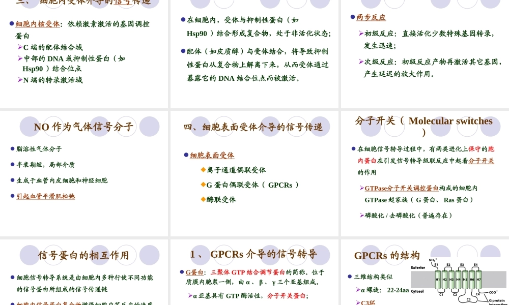 第九章 细胞信号转导 YJ.ppt