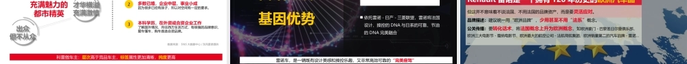 14.DS东风雷诺竞标方案.pptx