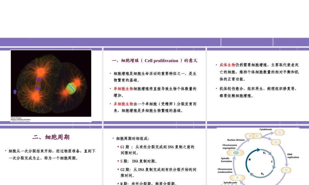 第十四章 细胞增殖及其调控 YJ.ppt