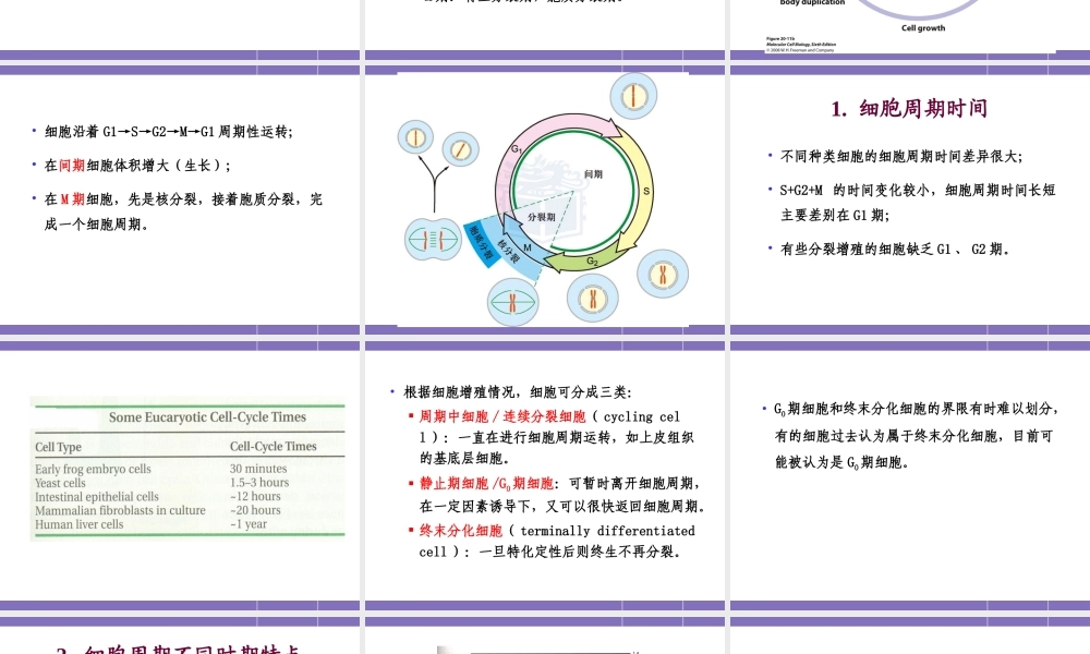 第十四章 细胞增殖及其调控 YJ.ppt