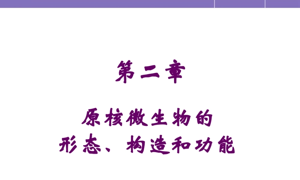 原核微生物的形态与构造.pptx