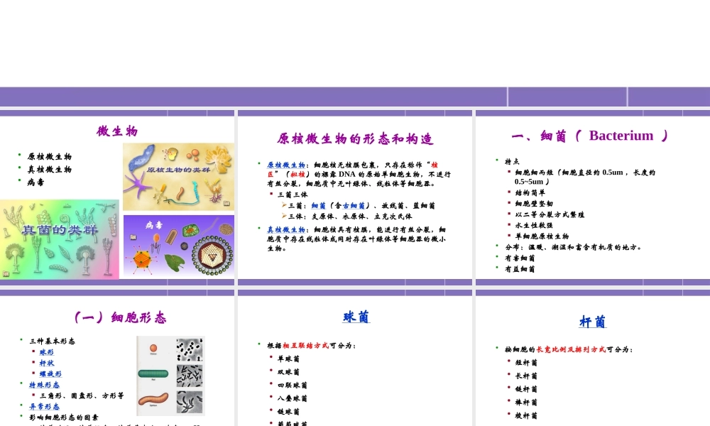 原核微生物的形态与构造.pptx
