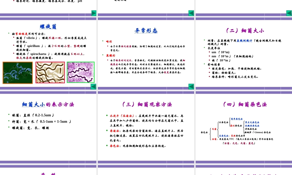 原核微生物的形态与构造.pptx