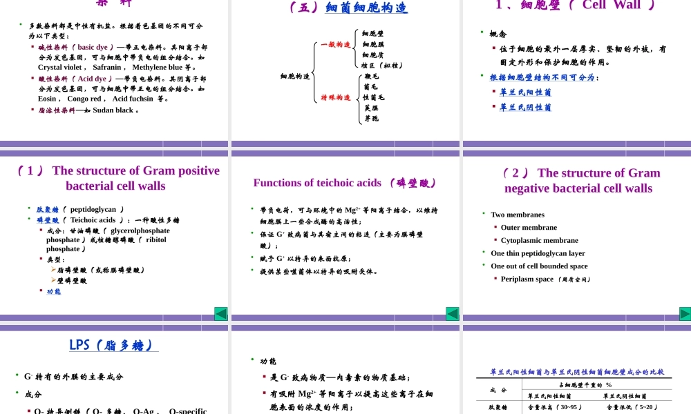 原核微生物的形态与构造.pptx