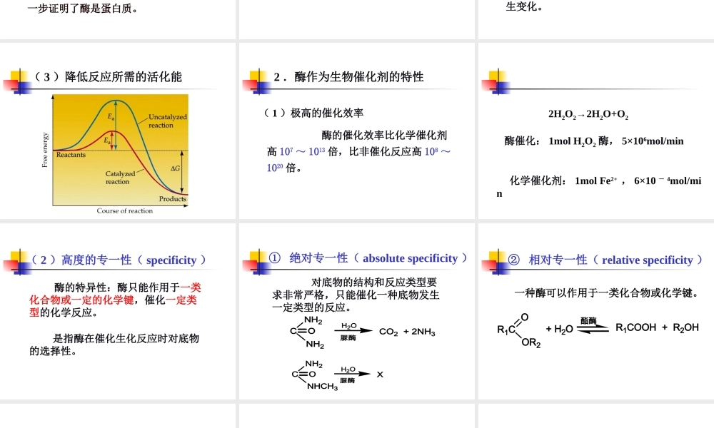 考研科目,动物生物化学 第7章 酶.ppt