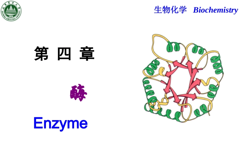 Chapter 4 酶.ppt
