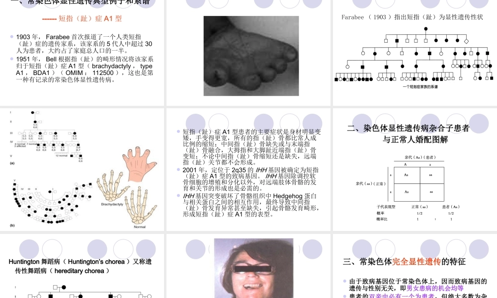 4章单基因病的遗传.ppt