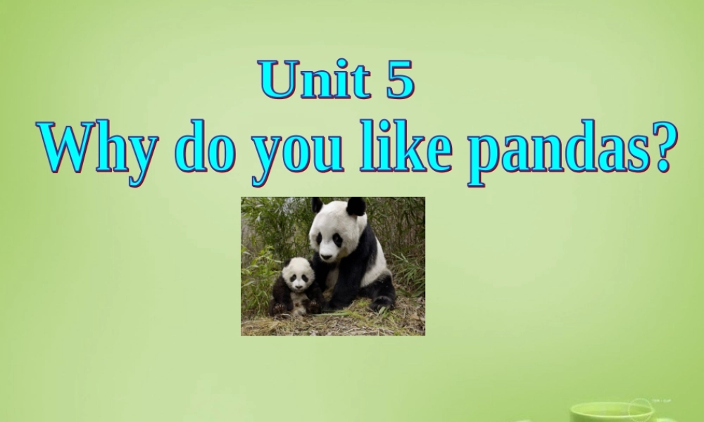 【名师精品】7 《Unit 5 Why do you like pandas》课件.ppt