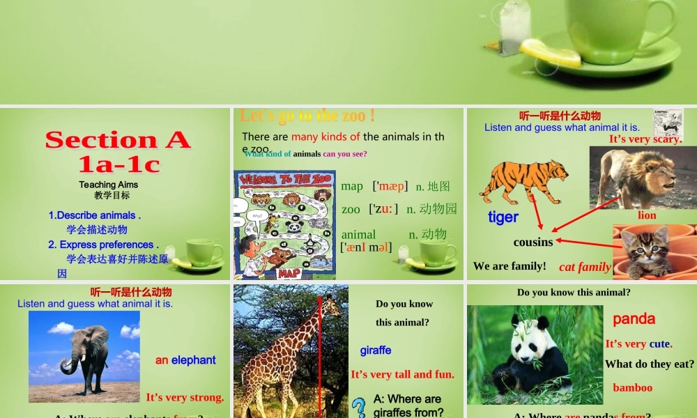 【名师精品】7 《Unit 5 Why do you like pandas》课件.ppt