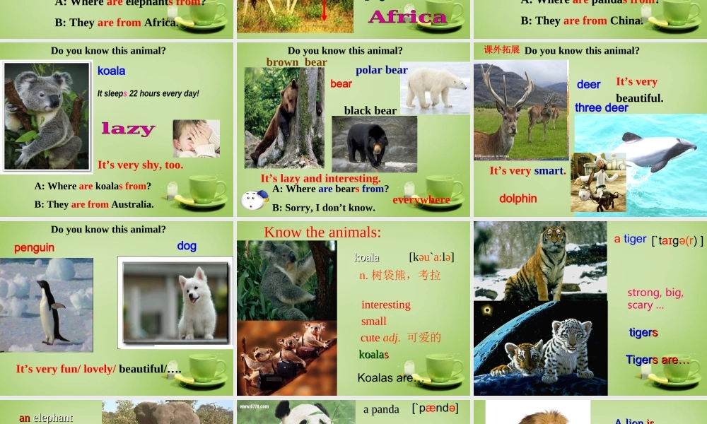 【名师精品】7 《Unit 5 Why do you like pandas》课件.ppt