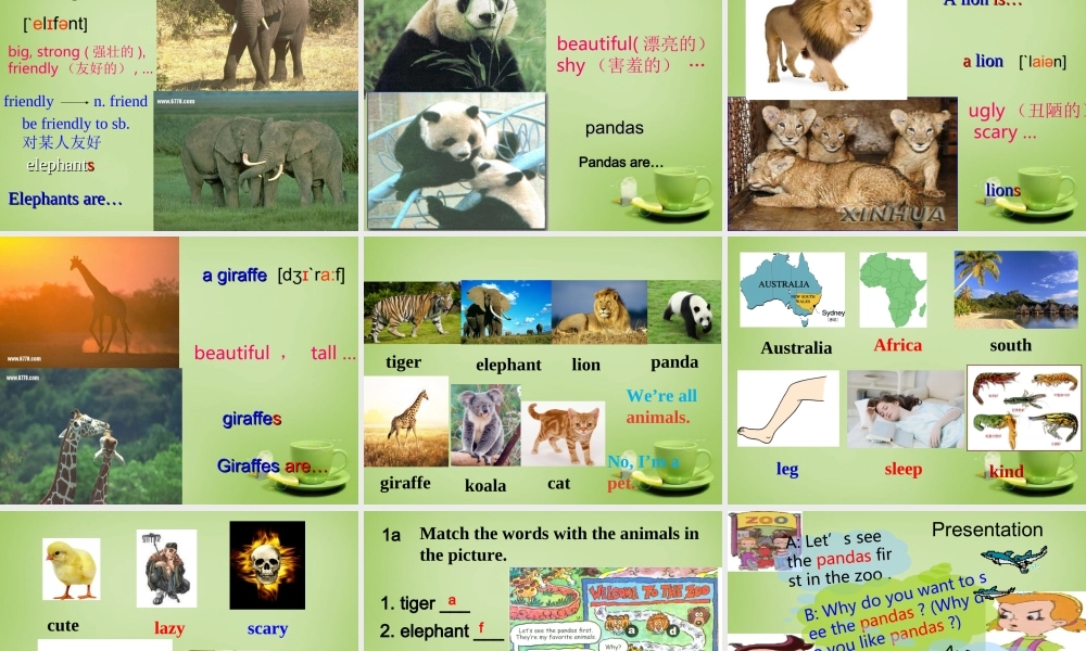 【名师精品】7 《Unit 5 Why do you like pandas》课件.ppt