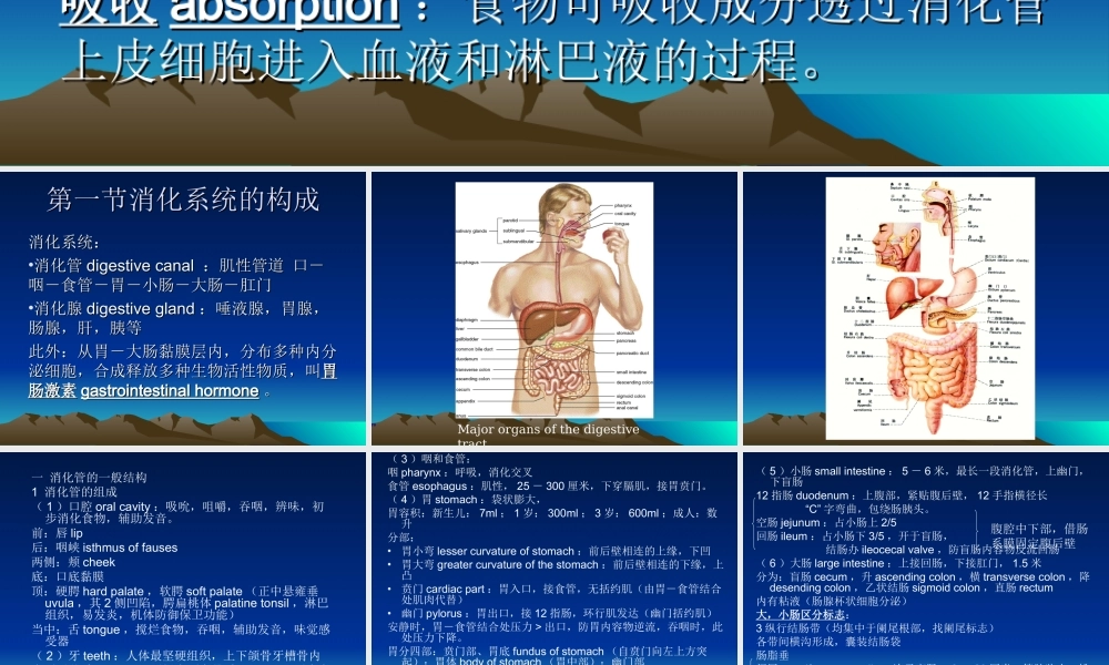 消化系统(1).ppt