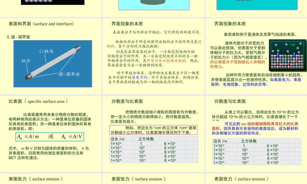 第十章界面现象1.ppt