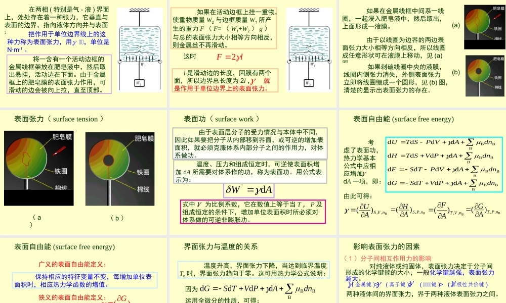 第十章界面现象1.ppt