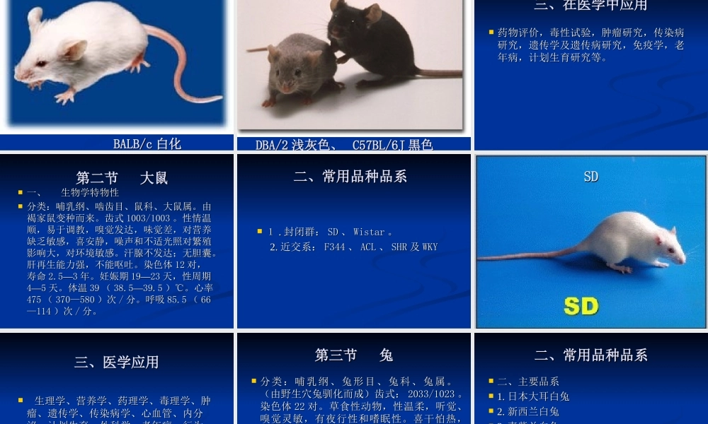 2014医学实验动物学(1).ppt
