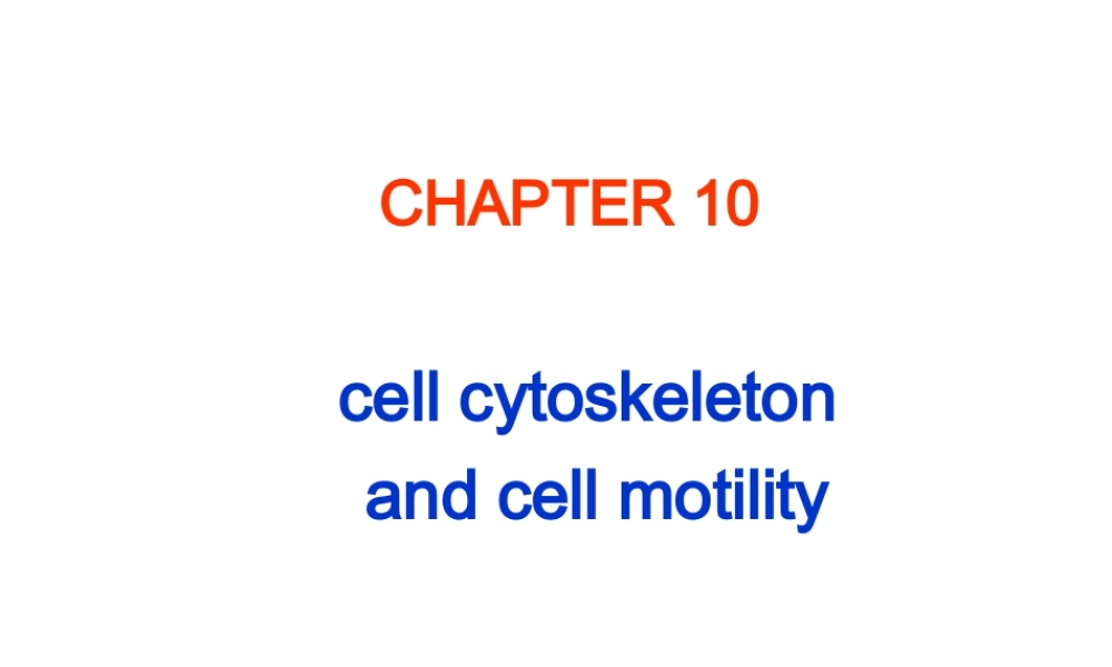Ru-第10章 细胞骨架 20161115.ppt