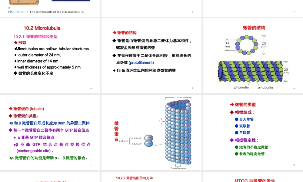 Ru-第10章 细胞骨架 20161115.ppt