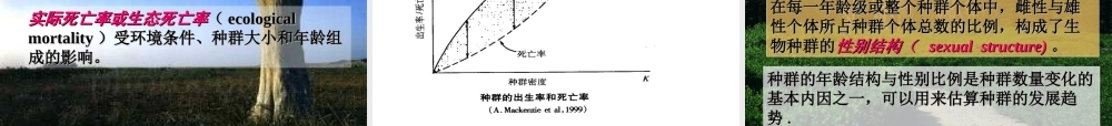 第3章-生物种群.ppt