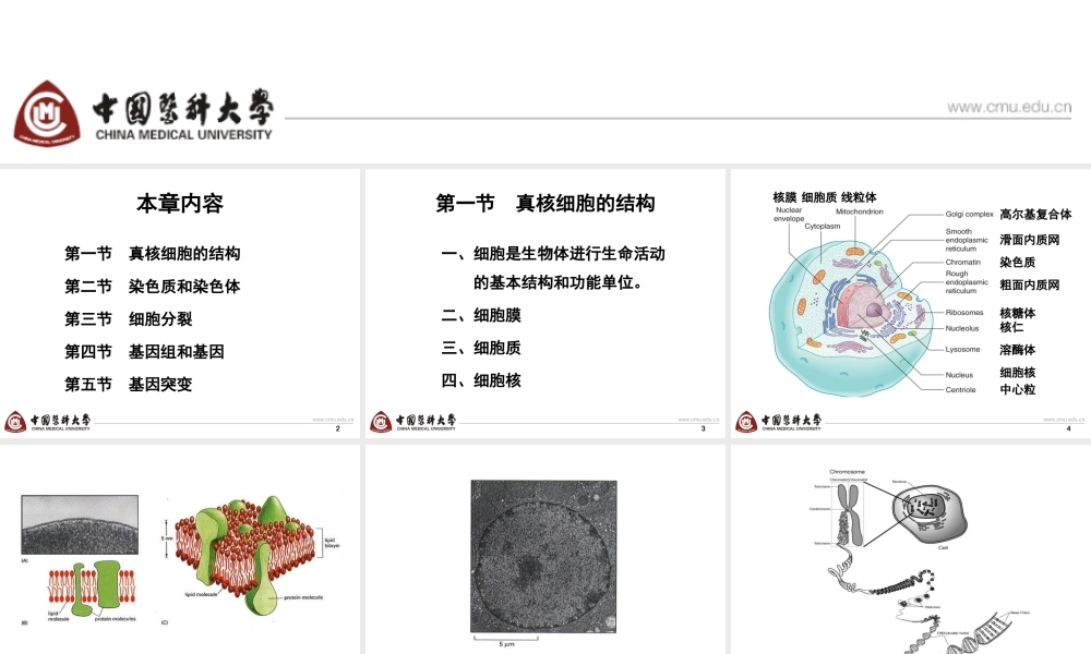 第2章 basis-6h new(1).ppt