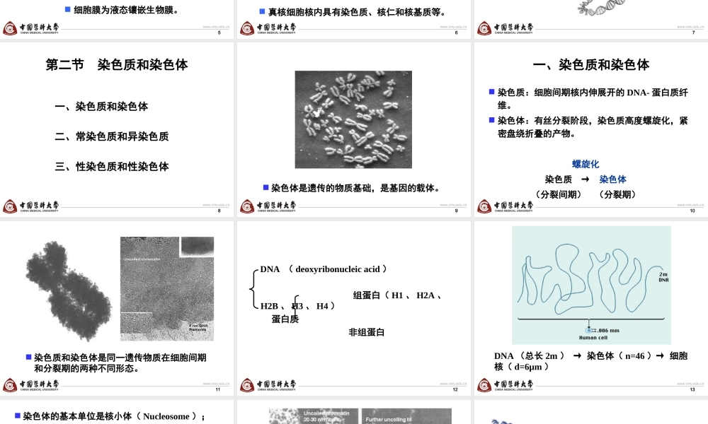 第2章 basis-6h new(1).ppt