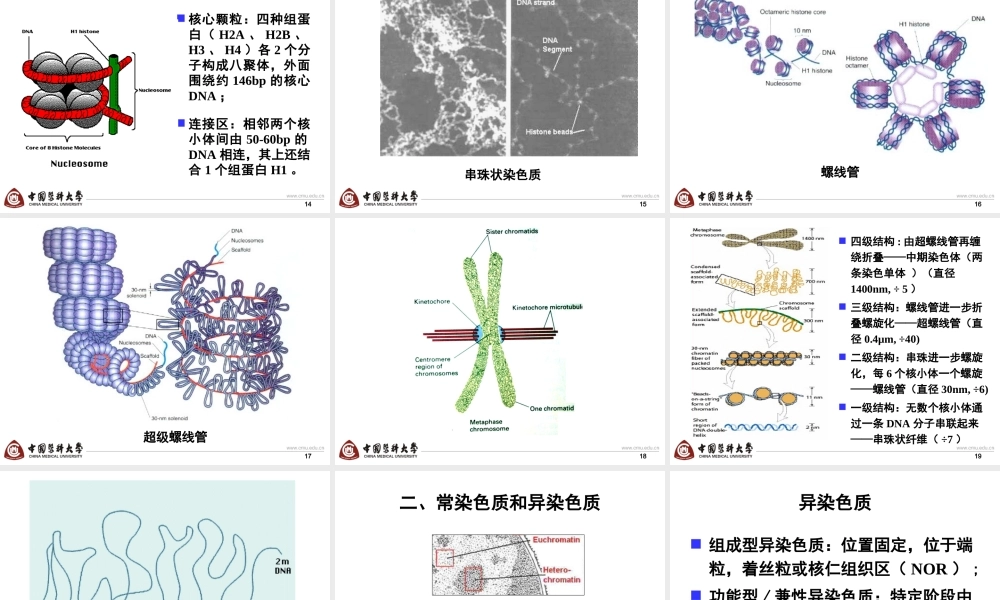 第2章 basis-6h new(1).ppt