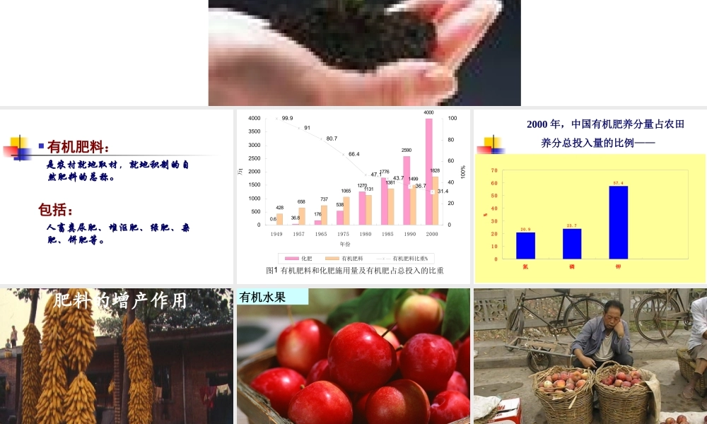 第13章 有机肥料.ppt