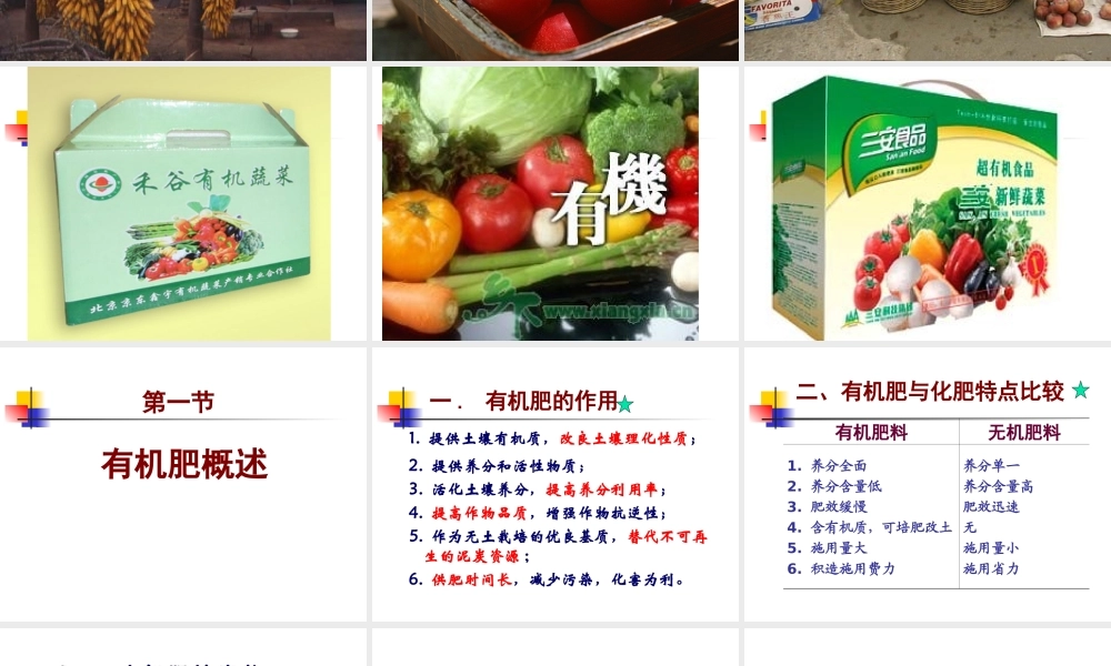 第13章 有机肥料.ppt