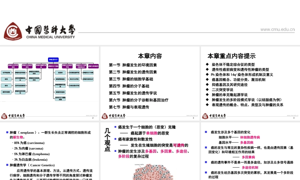 第8章 肿瘤-4h.ppt
