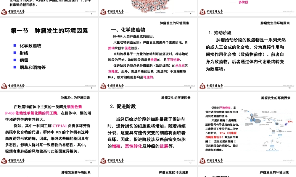 第8章 肿瘤-4h.ppt