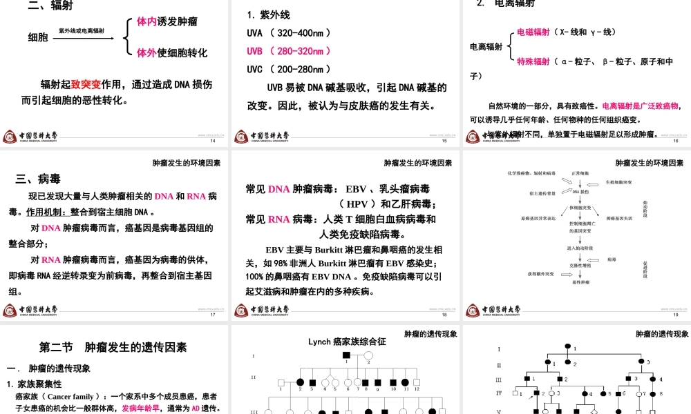第8章 肿瘤-4h.ppt