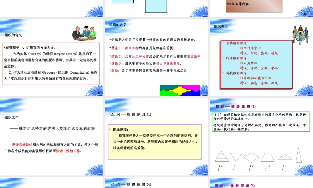 第五讲—组织.ppt