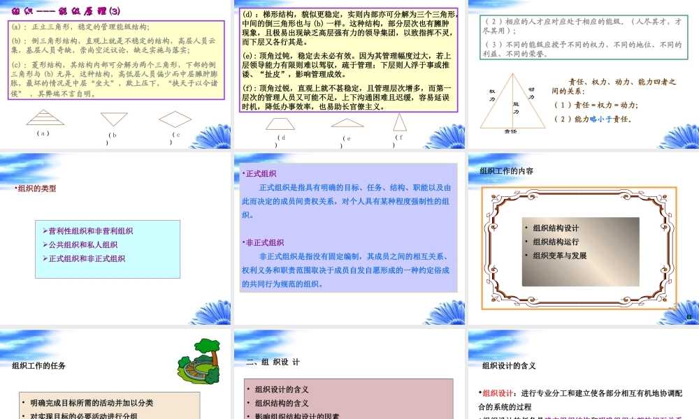 第五讲—组织.ppt