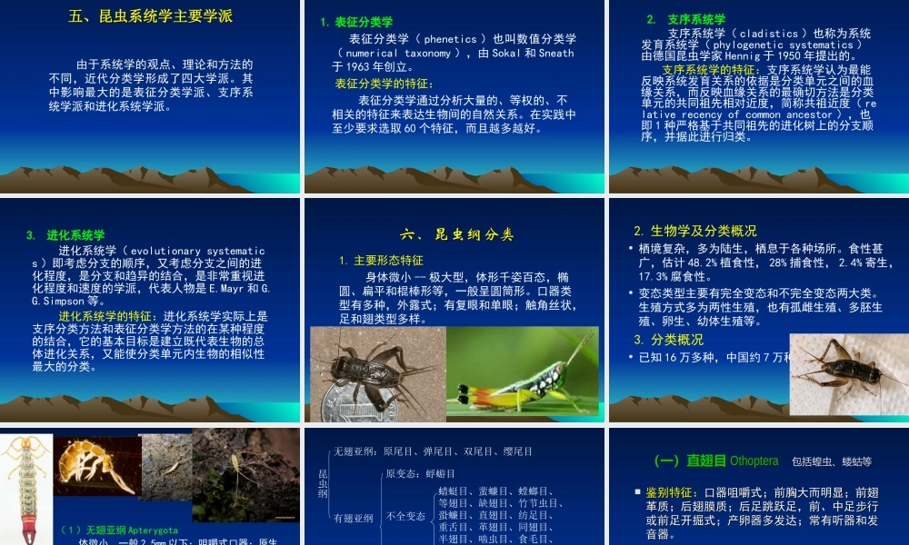 昆虫分类学(2014.9).ppt