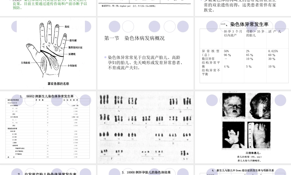 第十三章 染色体病.ppt