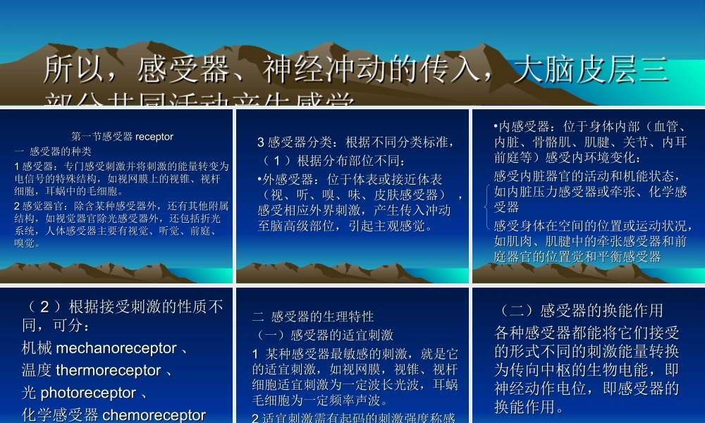 第十一章感觉器官(1).ppt