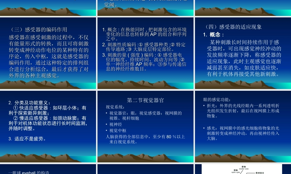 第十一章感觉器官(1).ppt