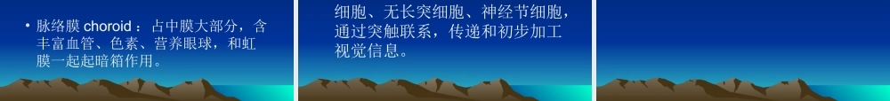 第十一章感觉器官(1).ppt