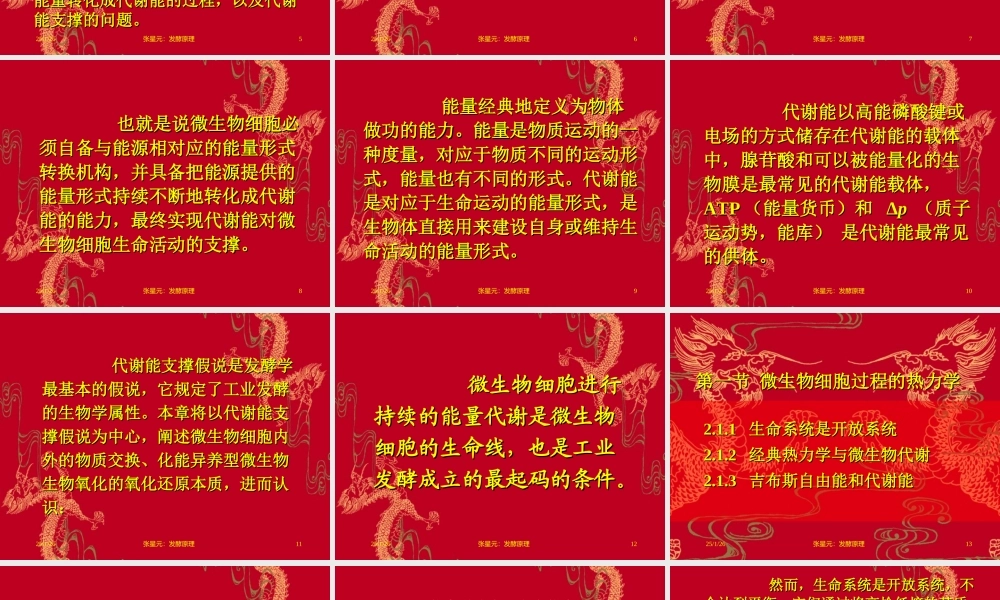 2.第二章 发酵学第一假说（1）.ppt