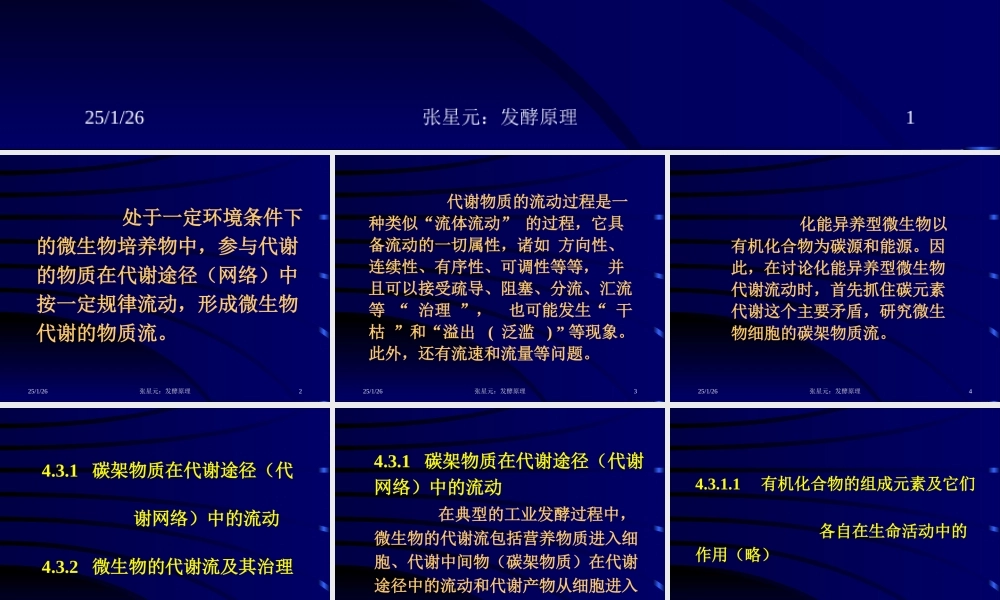 4.第四章 发酵学第三假说（3）.ppt