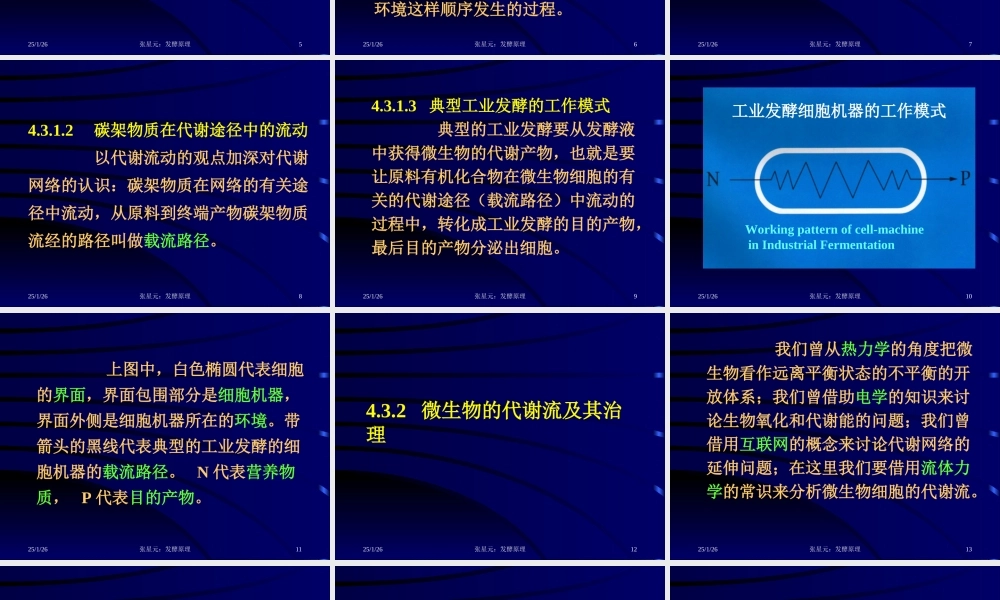 4.第四章 发酵学第三假说（3）.ppt